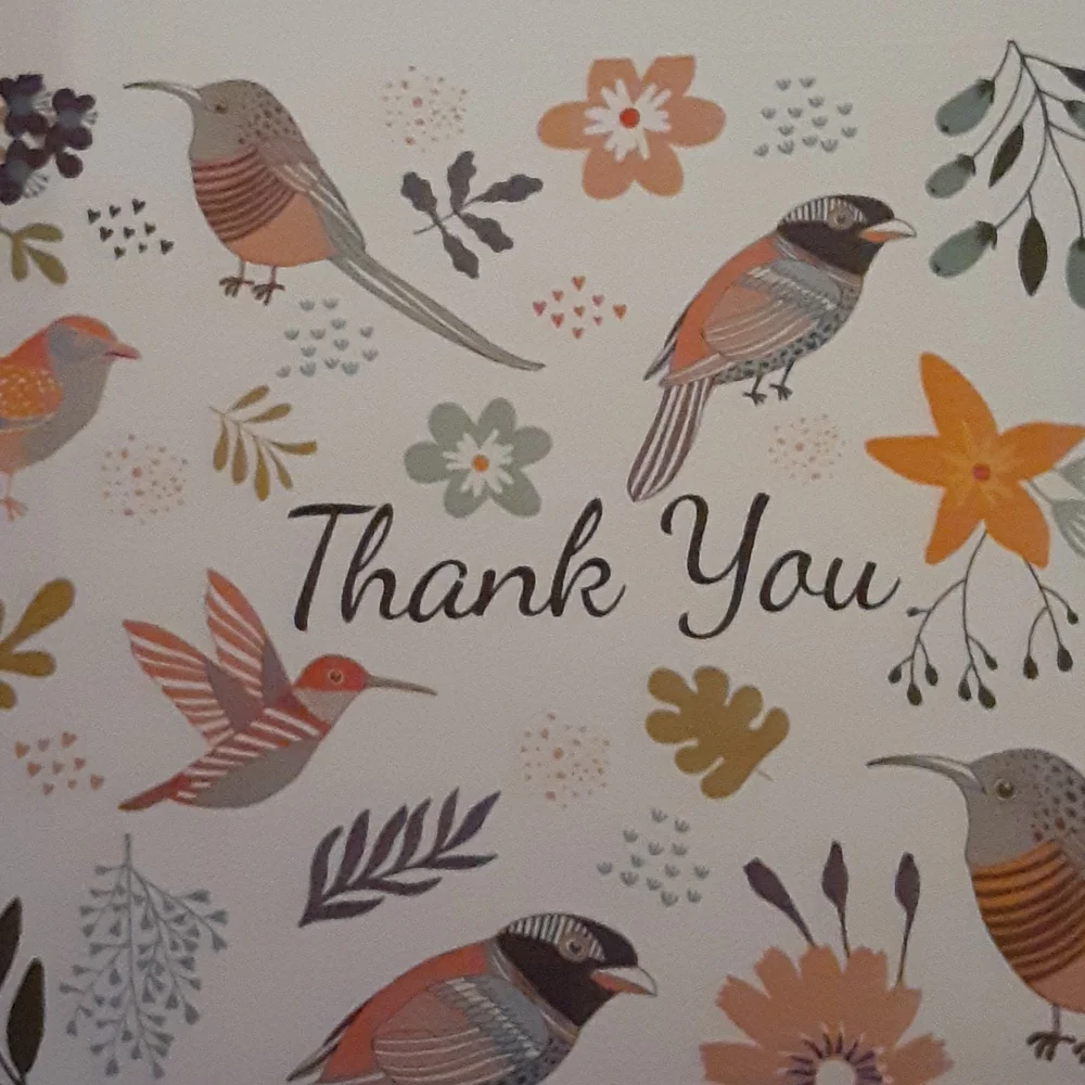 Polite Society Everdene Series 36 Thank You cards/envelopes 6 designs New in box